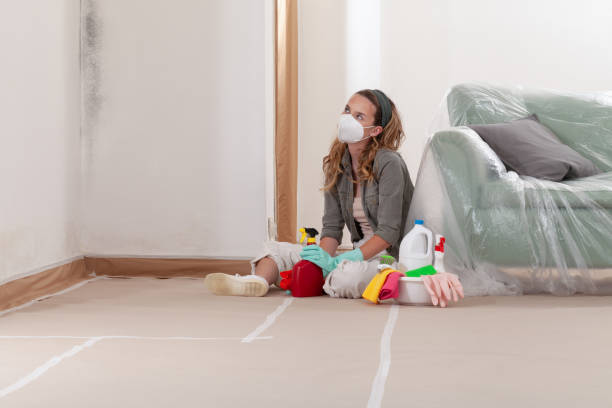 Reliable Mold Removal contractor in Bensenville, IL by Mold Remediation HQ